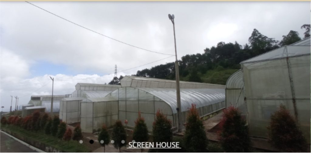 screen house